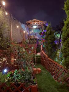 a garden lit up at night with christmas lights at Garden and chill in Tijuana