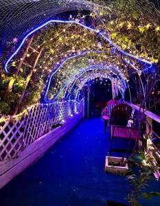 a tunnel covered in lights with a bench at Garden and chill in Tijuana