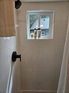 a bathroom with a window with three bottles on a shower curtain at Stylish Cabin Escape w - Kitchenette & Ensuite Bath in Port Renfrew