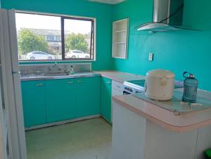 a green kitchen with a sink and a window at Budget accommodations 2 in Papamoa