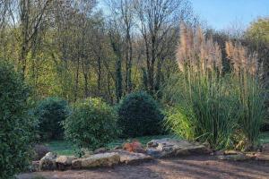 a garden with tall grass and bushes and trees at Au Pré du Chêne in Le Faouët +7 photos