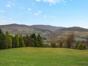 a green field with trees and mountains in the background at The Aran - Uk51067 in Frongoch