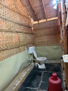 a bathroom with a toilet and a fire hydrant at Monkey Paradise Hampi in Hampi +24 photos