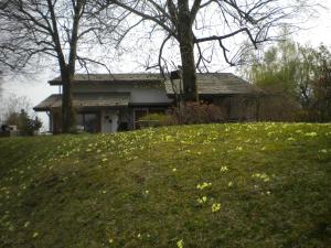 Vonkajšia záhrada v ubytovaní Villa San Giorgio