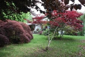 Vonkajšia záhrada v ubytovaní Villa San Giorgio