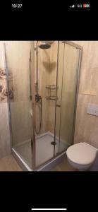 a shower with a glass door next to a toilet at Expo Copou in Iaşi