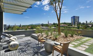a patio with chairs and a tree on a roof at Hilton Windhoek in Windhoek