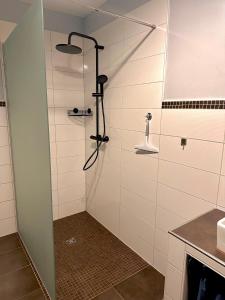 a shower with a glass door in a bathroom at Ferienhaus Isaro in Ludwigsburg +21 photos