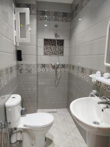 a bathroom with a shower and a toilet and a sink at Hôtel Dar Farhat in Tunis +24 photos