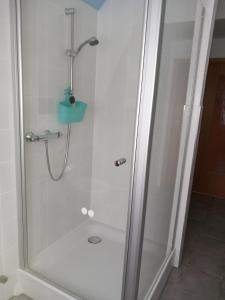 a shower in a bathroom with a glass door at Ferienwohnung Müller in Sukow