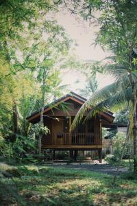 a house in the middle of a forest at Decoco Canal-side Homestay in Ban Khlong Duang