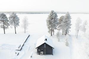 a small wooden cabin in the snow with trees at VillaNorva in Saarenkylä