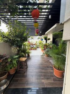 a greenhouse filled with lots of potted plants at Spacious Garden Home in Aurangabad