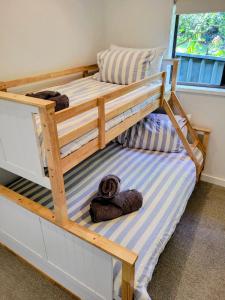 two bunk beds in a room with a window at Mollymook Den Coastal Retreat - Walk to Beach & Town in Mollymook