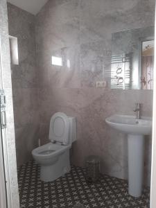 a bathroom with a toilet and a sink at Cozy Cottage Bakuriani in Bakuriani