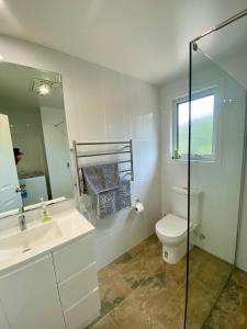 a bathroom with a toilet and a sink and a mirror at Penguin Seaside Farm in Penguin