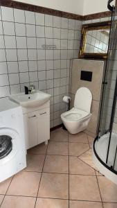 a bathroom with a toilet and a sink and a shower at Apartament 10 Słoneczna in Ełk