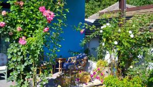 Fotografie z fotogalerie ubytování Resedinta Rotundu v destinaci Butuceni