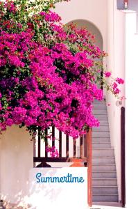 una escalera llena de flores rosas en una casa en Summer Time, en Ios Chora