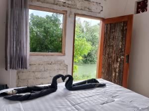two swans sitting on a bed in front of a window at Live lombok homestay in Batukliang +37 photos