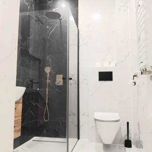 a bathroom with a shower and a toilet at Klonowicza UP in Leszno +1 photo