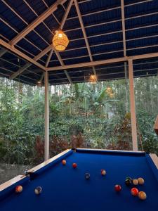 a pool table in a room with a large window at Aetheria Estate Retreat in Chikmagalūr
