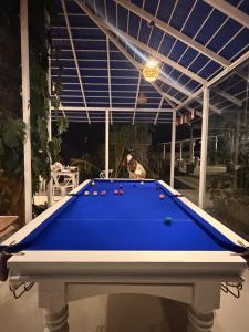 a blue pool table with balls on top of it at Aetheria Estate Retreat in Chikmagalūr +5 photos