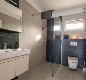 a bathroom with a shower and a toilet and a sink at Apartmán Nad Arénou NMNM in Nové Město na Moravě