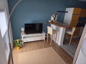 a living room with a television and a table with chairs at Ferienwohnung Noltenius 2 in Bülstedt