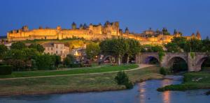 a castle on top of a hill next to a river at Comme une évidence in Carcassonne