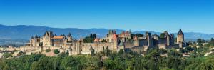 a castle on top of a hill with trees at Comme une évidence in Carcassonne