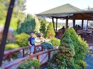 Ein Junge stand auf einer Holzbrücke im Garten. in der Unterkunft Guest House Vila Horizont in Berg Goč