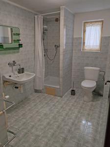 a bathroom with a shower and a toilet and a sink at ZorHouse Ždiar in Ždiar