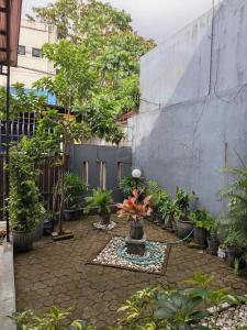 a courtyard with a bunch of plants and a fountain at Omah Semaki in Yogyakarta