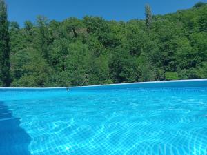 una piscina blu con alberi sullo sfondo di back to nature basic camping hut Casa Biron a Pietralunga Altre 10 foto