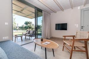 a living room with a couch and a tv at Helichrysum Lofts Junior House J1 in Khokhlastí