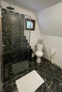 a bathroom with a toilet and a glass shower at Cabana De Peste Gard in Topliţa
