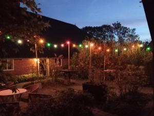a garden at night with green and red lights at Boerderij De Diek'n in Zeerijp