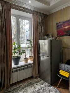a kitchen with a refrigerator and a window at Jarosta Premium Hotel in Chişinău