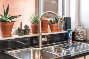 a kitchen sink with a bunch of potted plants on a shelf at roeselare stay in Roeselare +23 photos