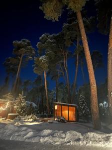 a house in the snow at night with palm trees at Kulautuva Park Apartments in Kulautuva