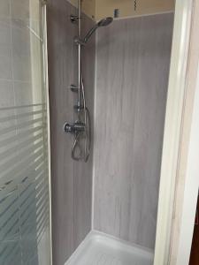 a shower with a glass door in a bathroom at Chat-Douillet in Veuzain-sur-Loire +17 photos