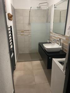 a bathroom with a white sink and a shower at L'appart du Château in Blois
