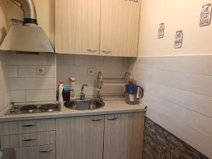 a small kitchen with a sink and a stove at Ljubica in Brzeće