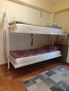 two bunk beds in a room with a rug at Ljubica in Brzeće