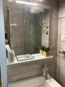 a bathroom with a shower and a sink and a mirror at Apartman Titi in Smederevo +16 photos