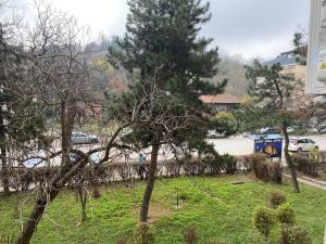 a group of trees in a yard next to a street at Apartman Titi in Smederevo