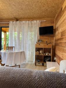 a room with a table and a tv and a curtain at Le ptit Chalet du bonheur in Entre-Deux