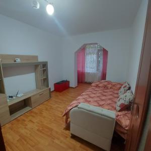 a bedroom with a bed and a tv and a chair at Two-room apartment in Drăgăşani