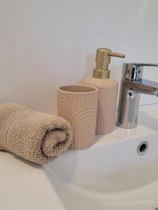 a bathroom sink with a soap dispenser and a towel at Vakantiehuis Huisje 31 Zoutelande in Zoutelande
